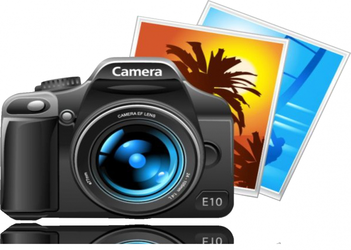 Photo Gallery of 2025